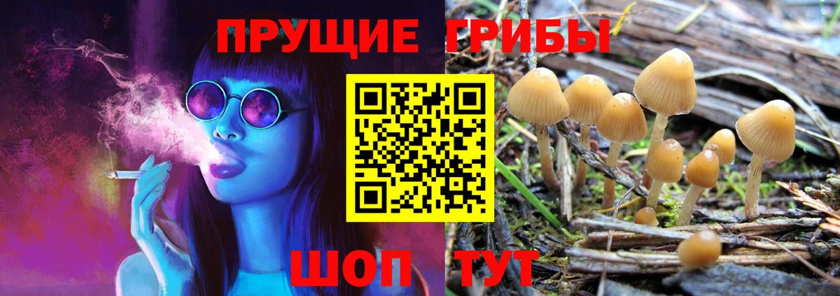Галлюциногенные грибы MAGIC MUSHROOMS Серов