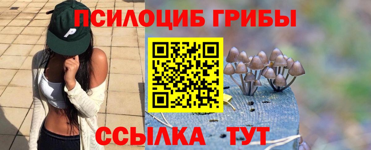 Серов  Псилоцибиновые грибы прущие грибы  хочу наркоту  Вход с VPN  Псилоцибиновые грибы Psilocybine cubensis 